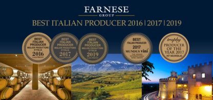 Montepulciano D'Abruzzo, DOC, FANTINI, 750 ml SGR - imagine 2