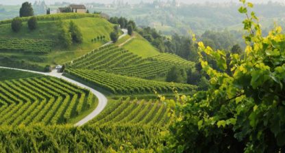 Sacchetto FILI, Prosecco, Extra Dry DOC Veneto, 750 ml SGR - imagine 2
