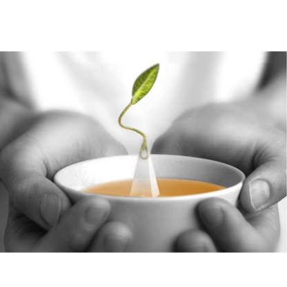 Ceai TEA FORTE, Warming Joy, 15 infuzii - imagine 2