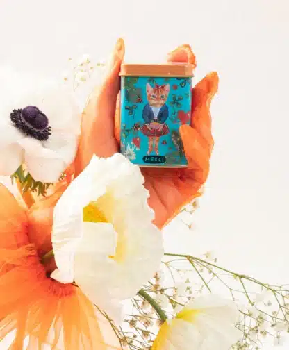 Merci by Nathalie Lete, Bombonele Asortate, Leone, 45g - imagine 6