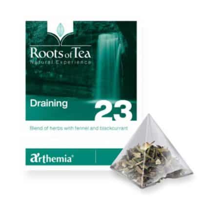 Draining Ceai de urzica, fenicul si coacaze negre, Arthemia, 15 piramide