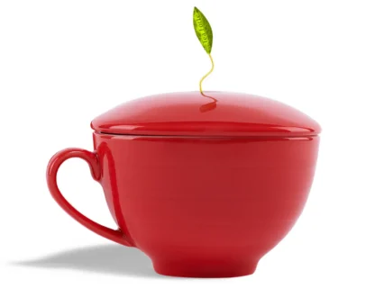 TEA FORTE, Warming Joy 2024, Set cadou - imagine 4