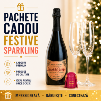 Pachete Cadou Festive Sparkling
