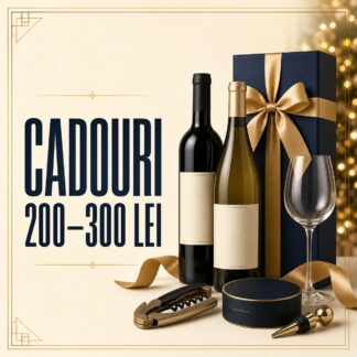 Cadouri între 200 și 300 lei