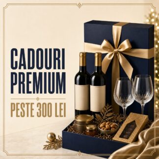 Cadouri premium peste 300 lei